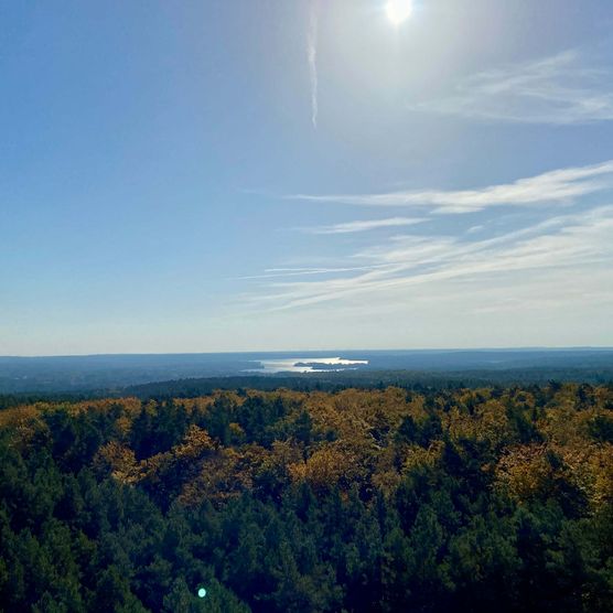 Ausblick vom Aussichtsturm Rauen