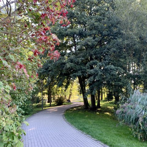 Uferpromenade Bad Saarow 